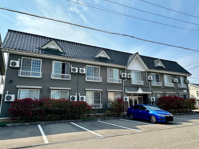 3161画像