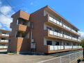 柏崎市柏崎東部周辺 マンション 2DK